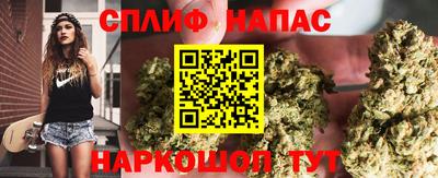 трава Брянск