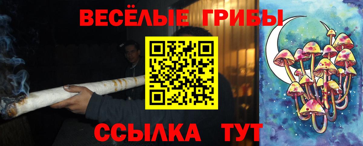 Галлюциногенные грибы Cubensis Сыктывкар